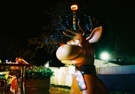 Reindeer, Cardiff Winter Wonderland, Christmas 2012