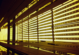 Photo of a window with half open shutters in Athens Airport